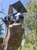 Cámara 4G de seguridad solar LX027 - Imagen 2