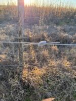 gripple, GP Small para alambre 16/14 hasta 300kg de carga - Imagen 4